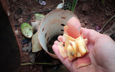 Gerakan Biopori SMK Yaspia: Kecil Langkahnya, Besar Manfaatnya untuk Bumi yang Indah